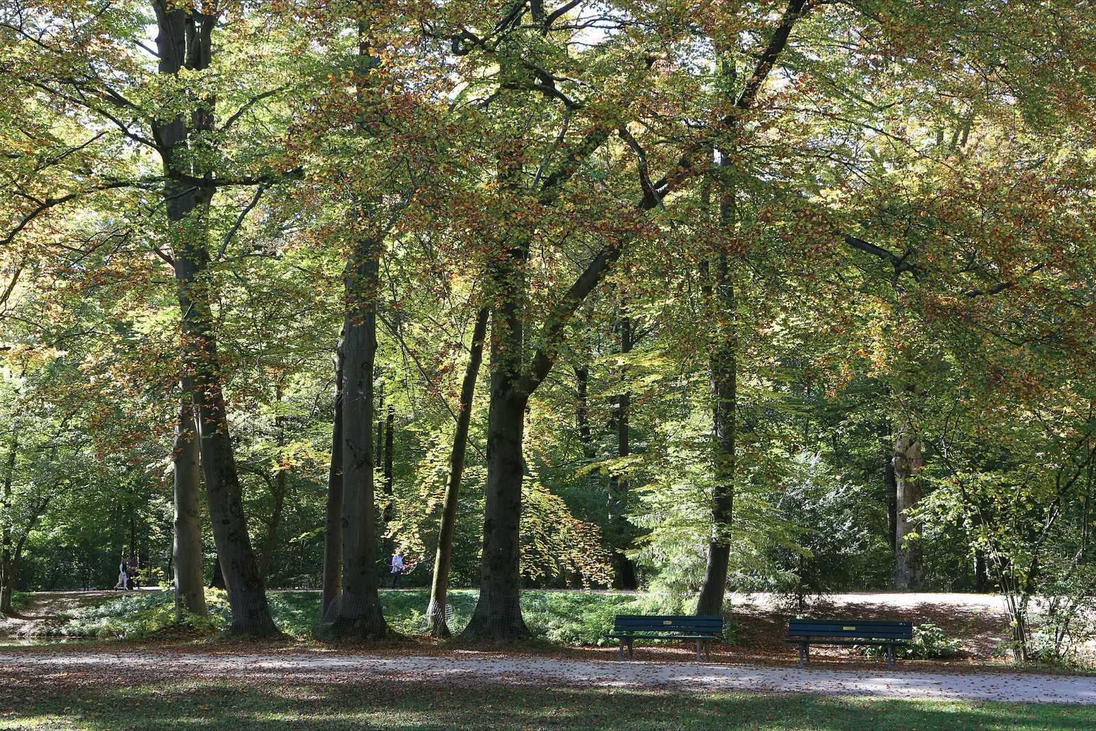 Englischer Garten