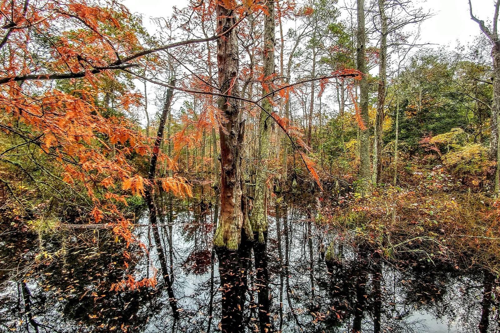 First Landing State Park