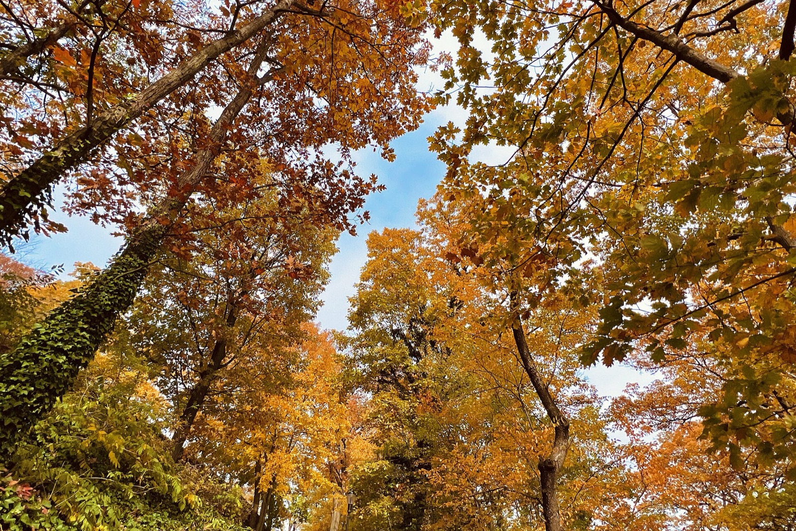 Fort Tryon Park