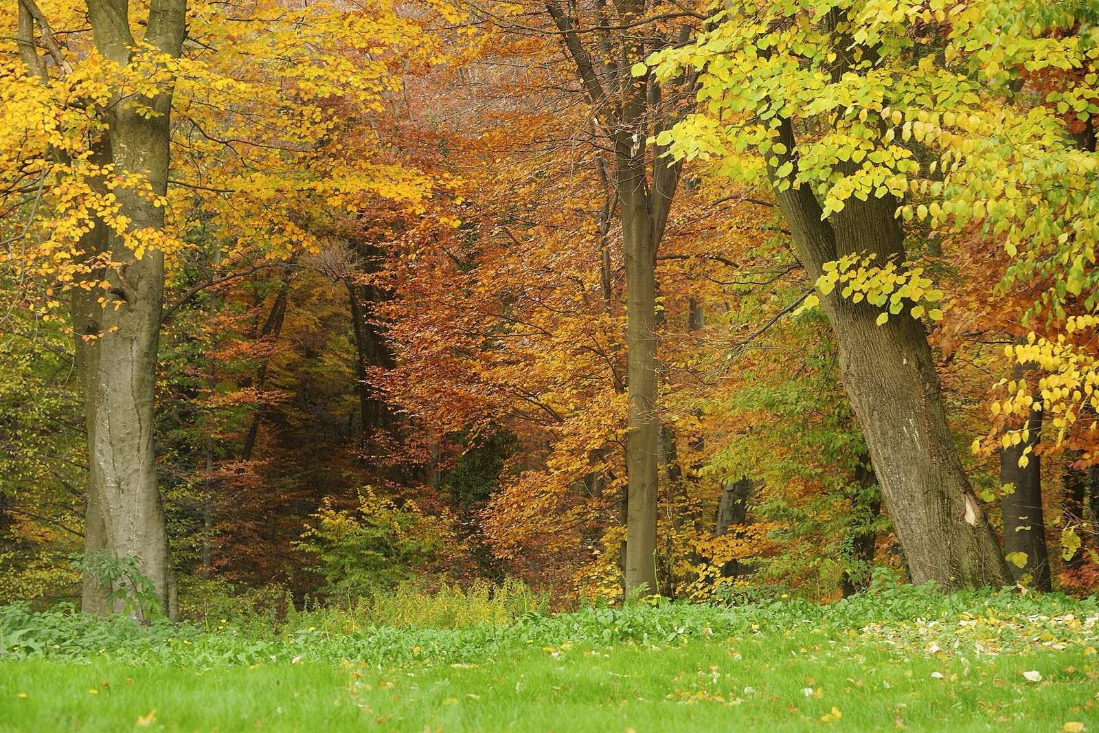 Fruška Gora National Park