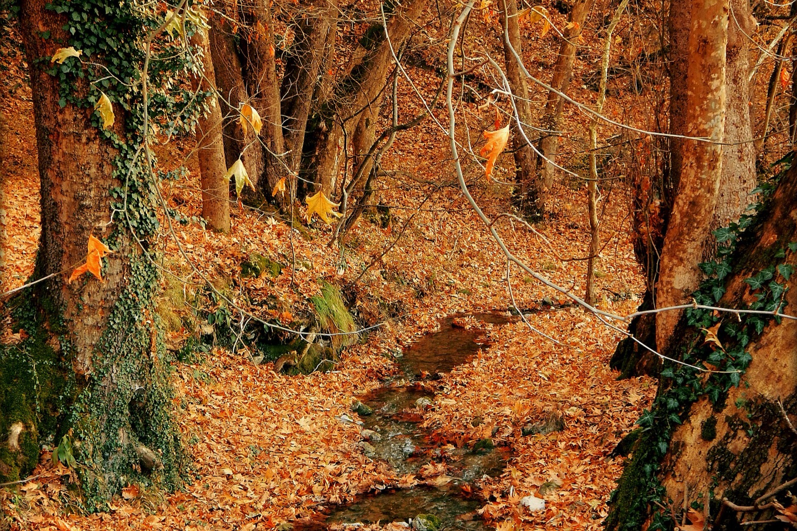 Galičica National Park