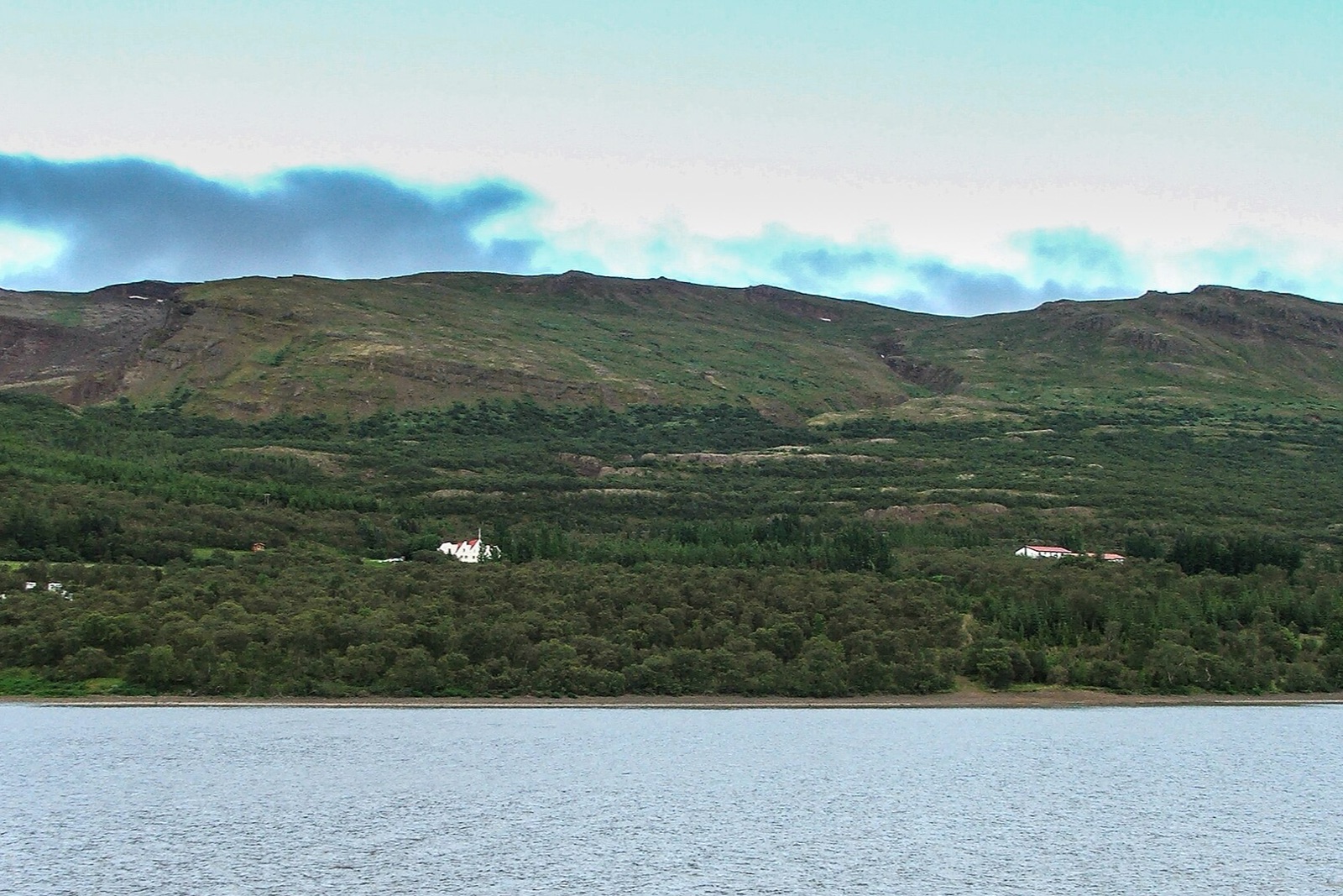 Hallormsstaðaskógur