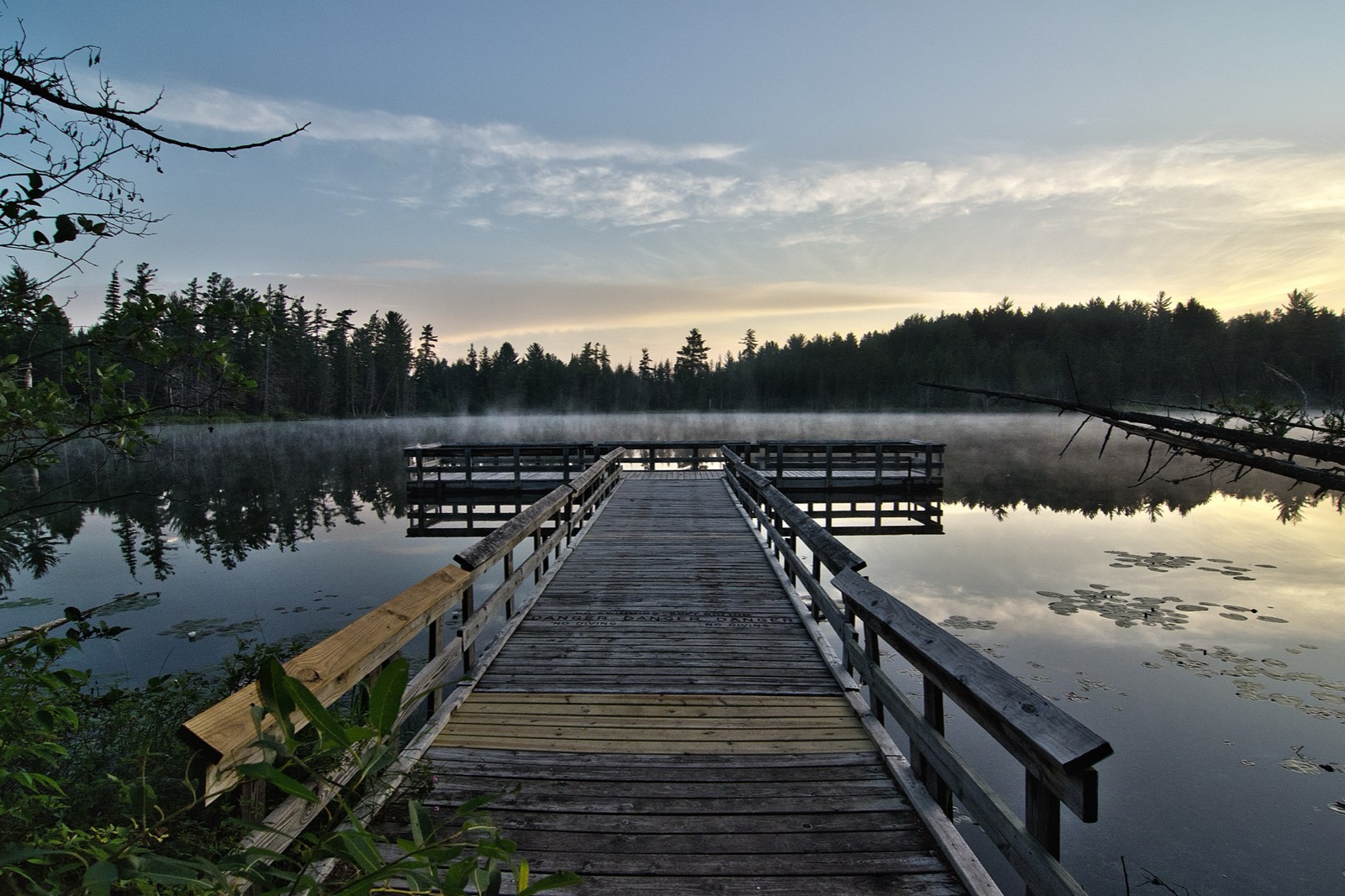 Hartwick Pines State Park