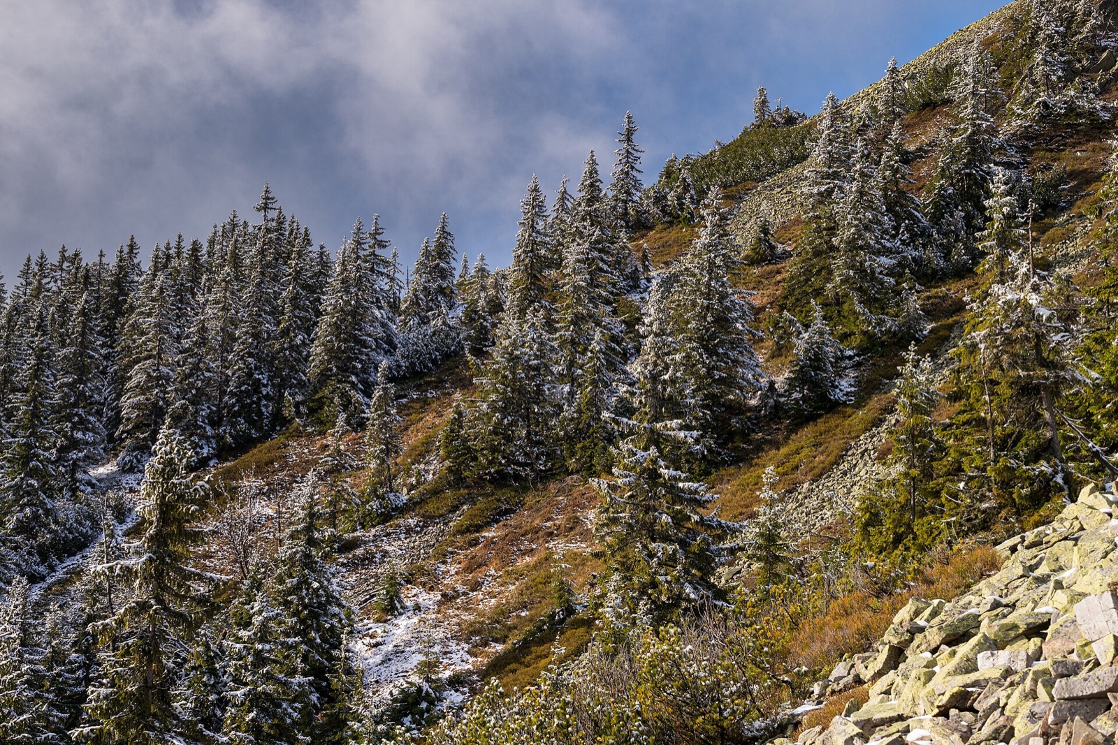 Krkonoše National Park