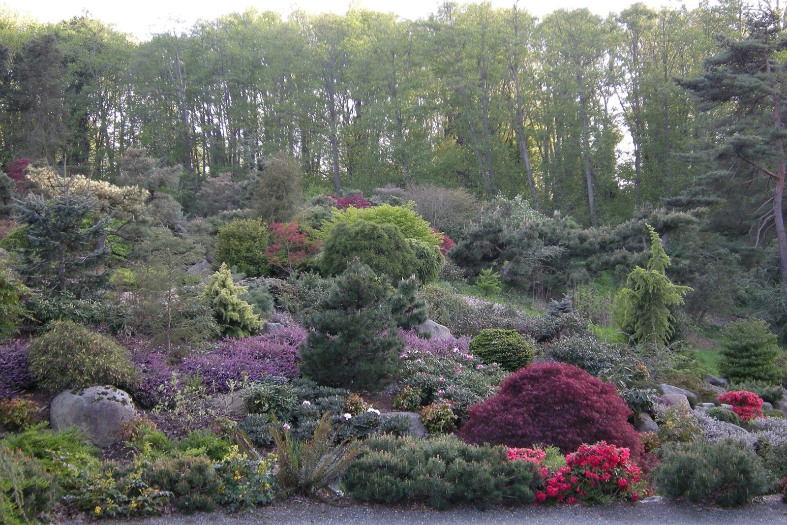 Kubota Garden