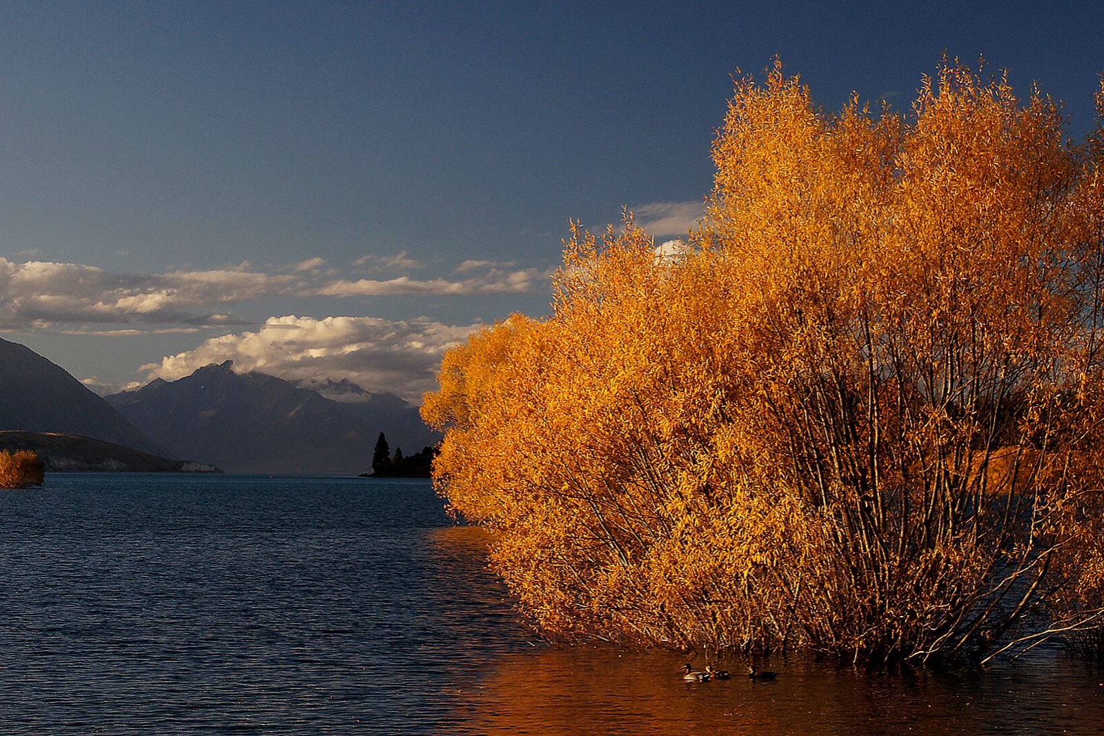 Lake Tekapo