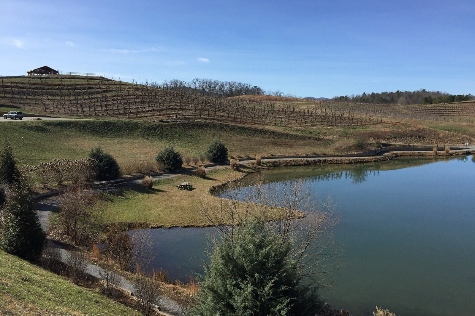 Mercier Orchards