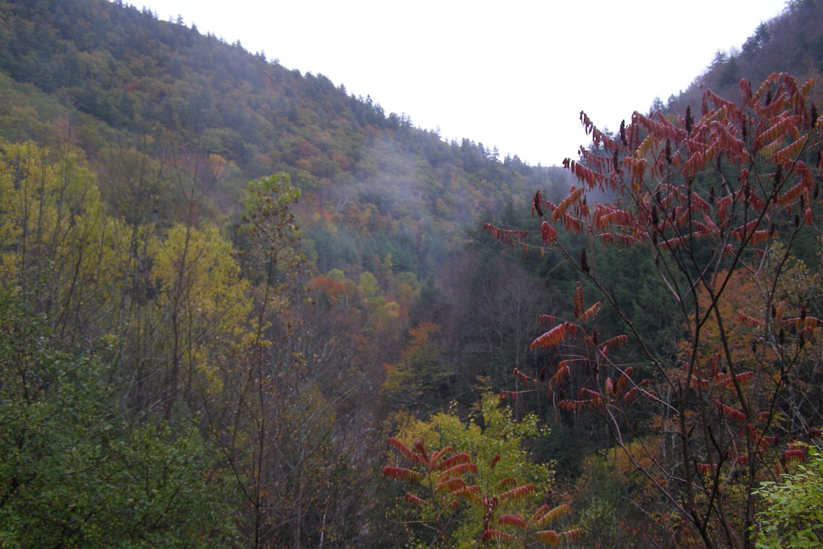 Mohawk Trail (Hairpin Turn)