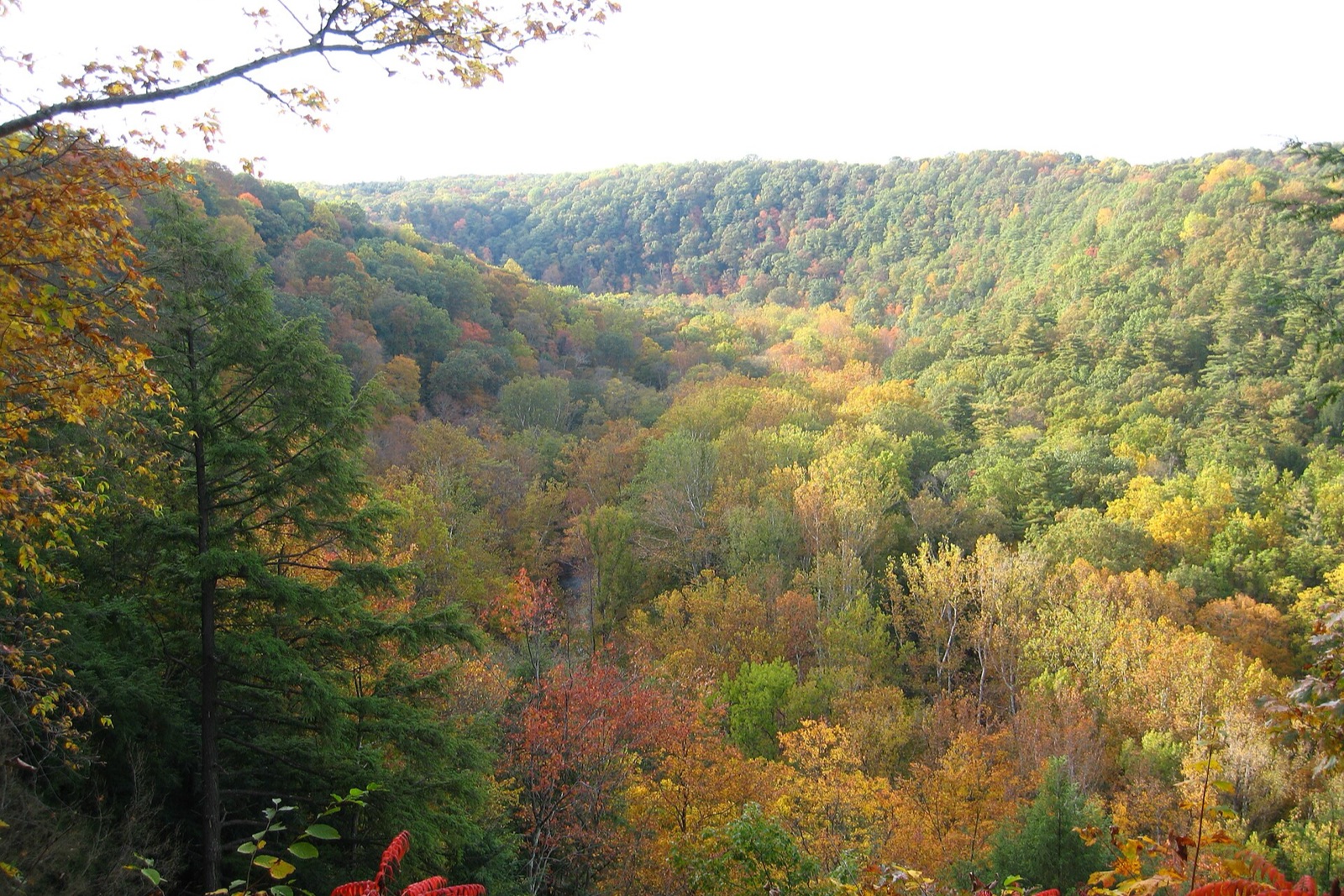 Mohican State Park