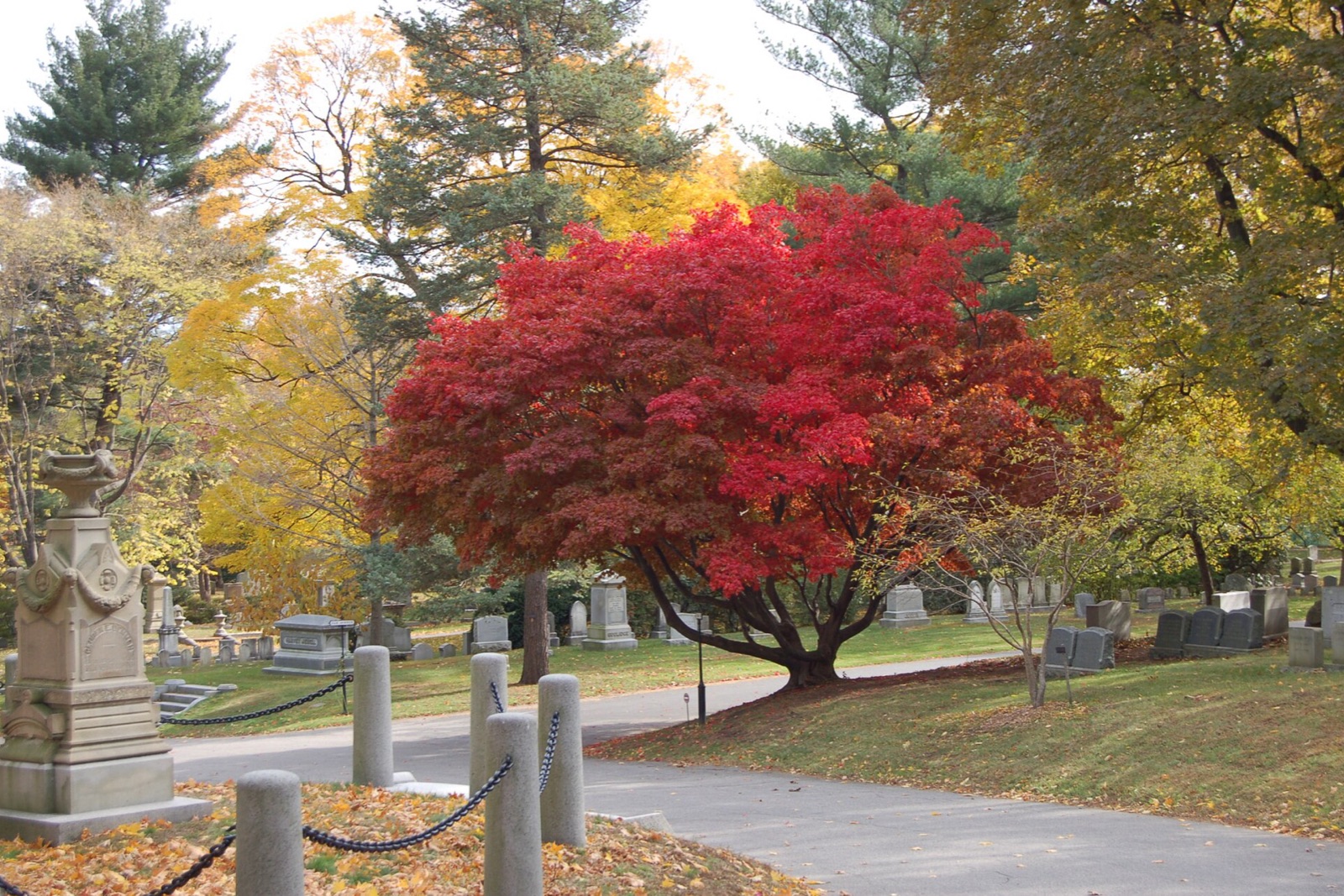 Mount Auburn Cemetery