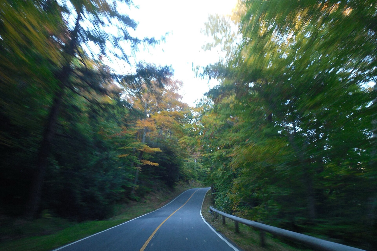 Mount Greylock State Reservation