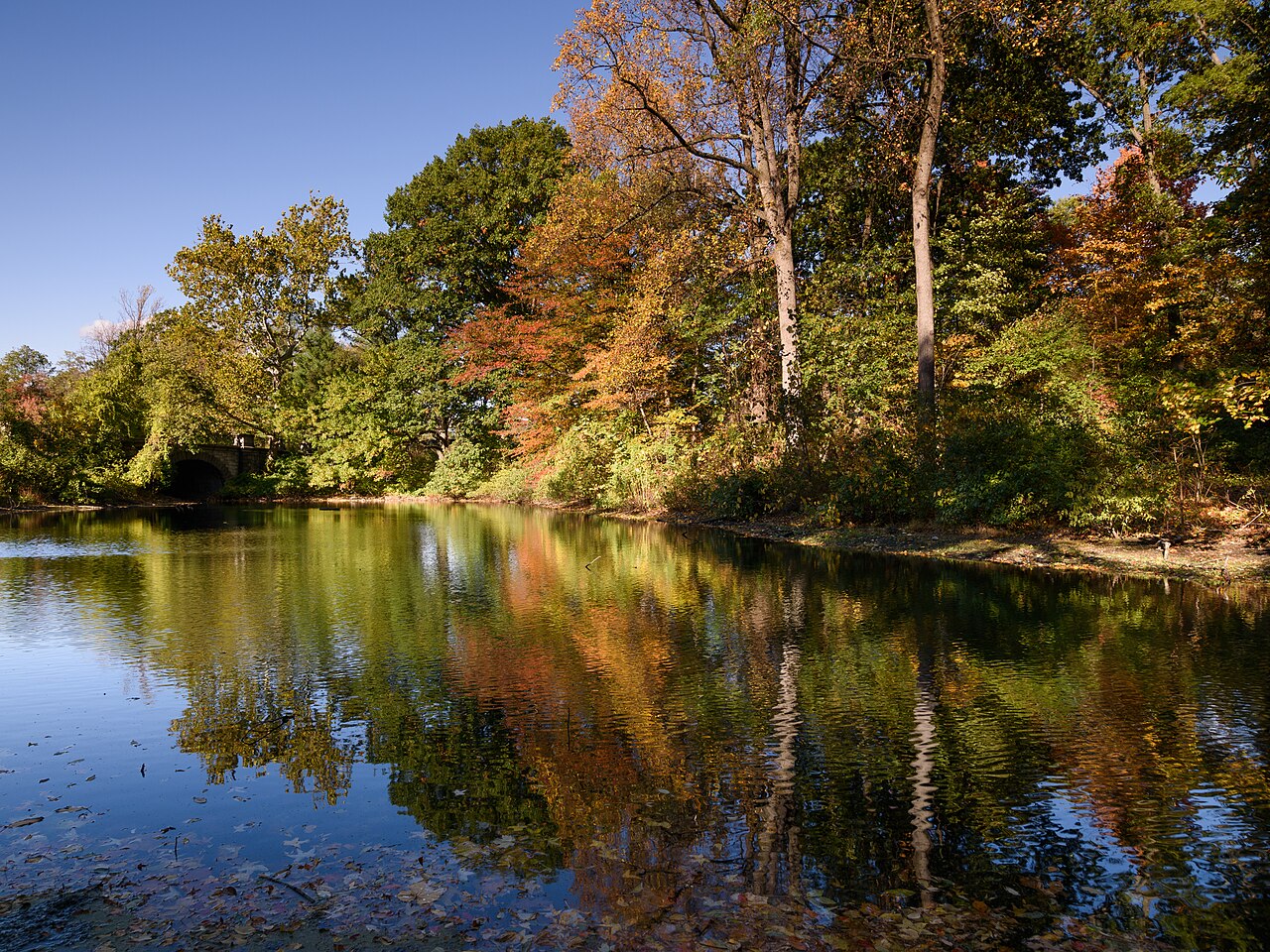 New York Botanical Garden