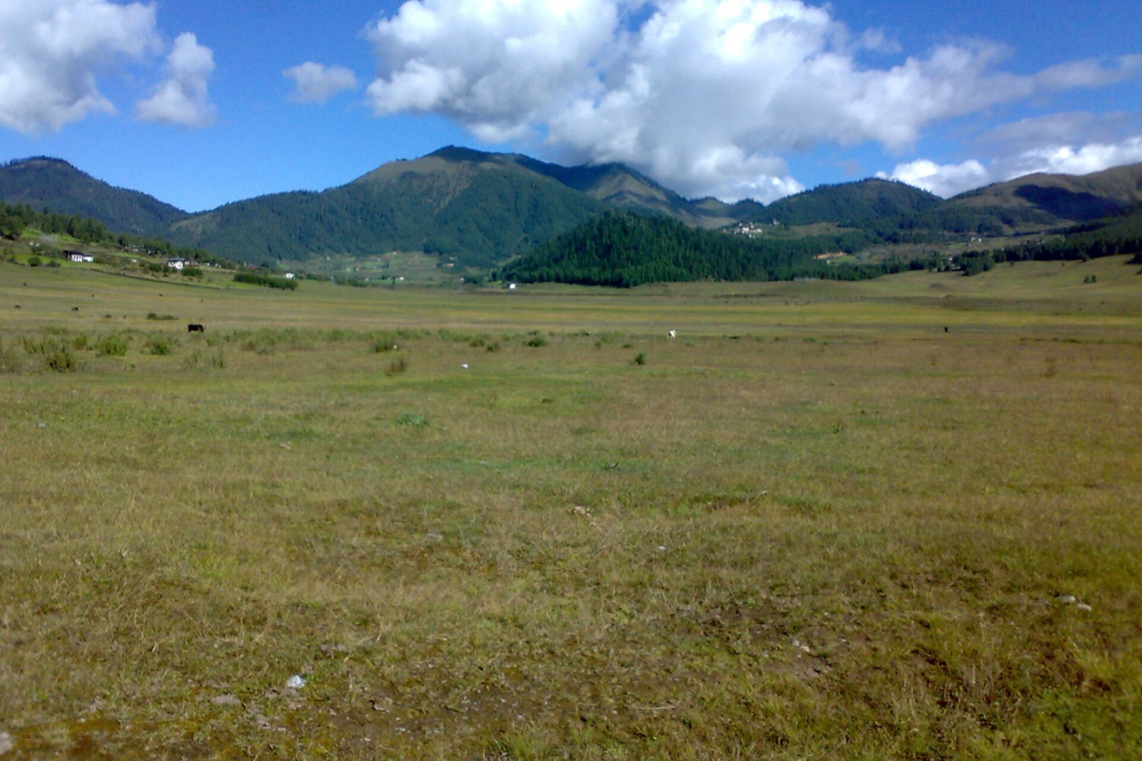 Phobjikha Valley (Gangtey)
