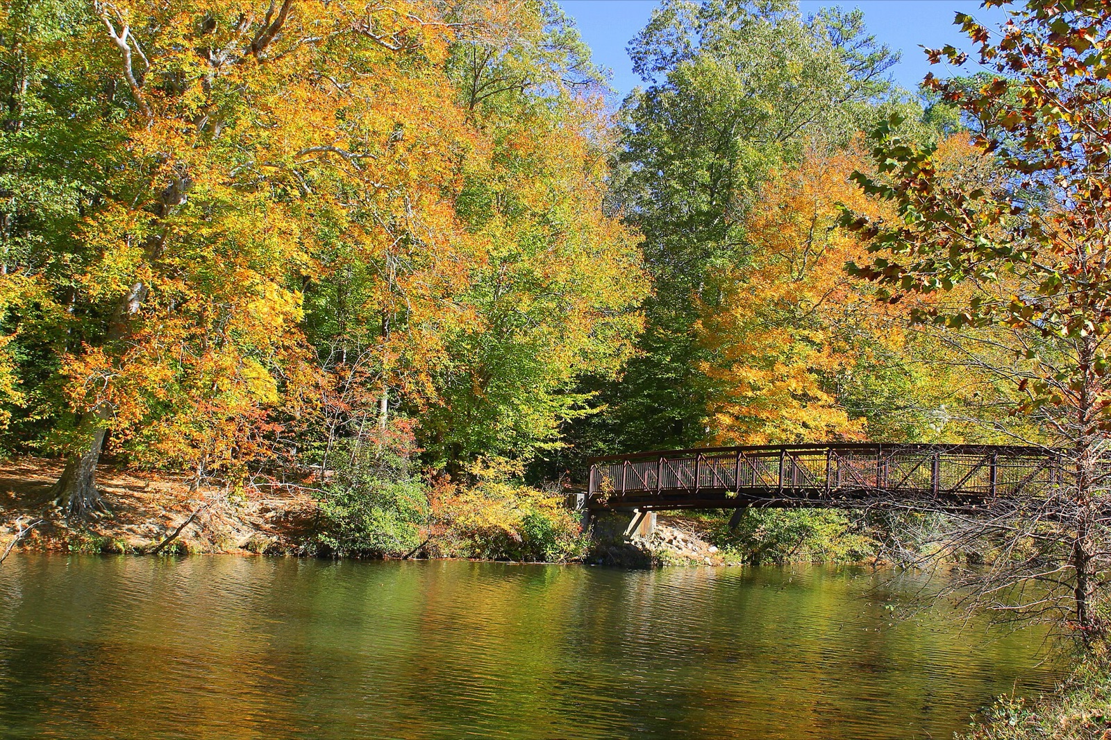 Pocahontas State Park