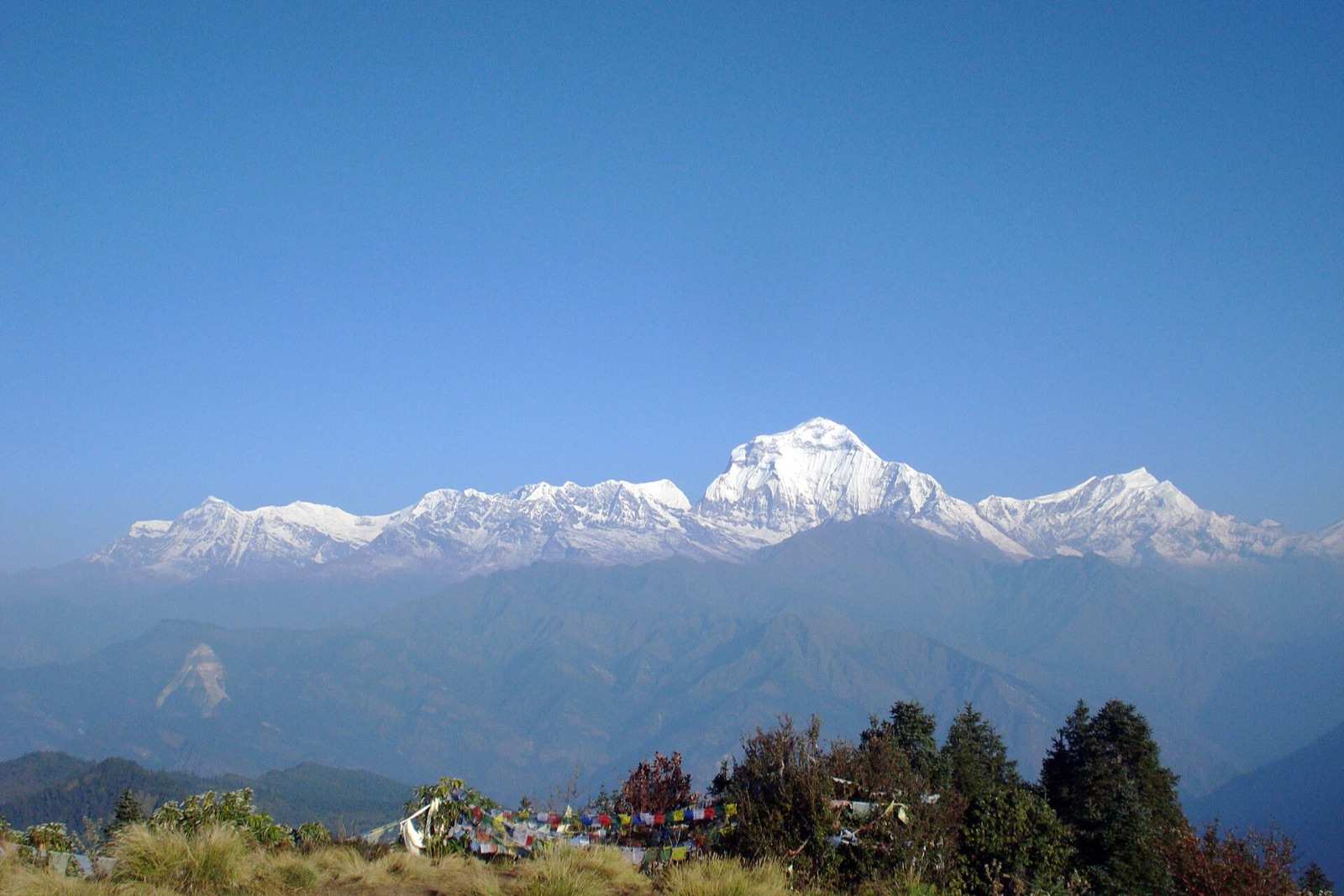 Poon Hill