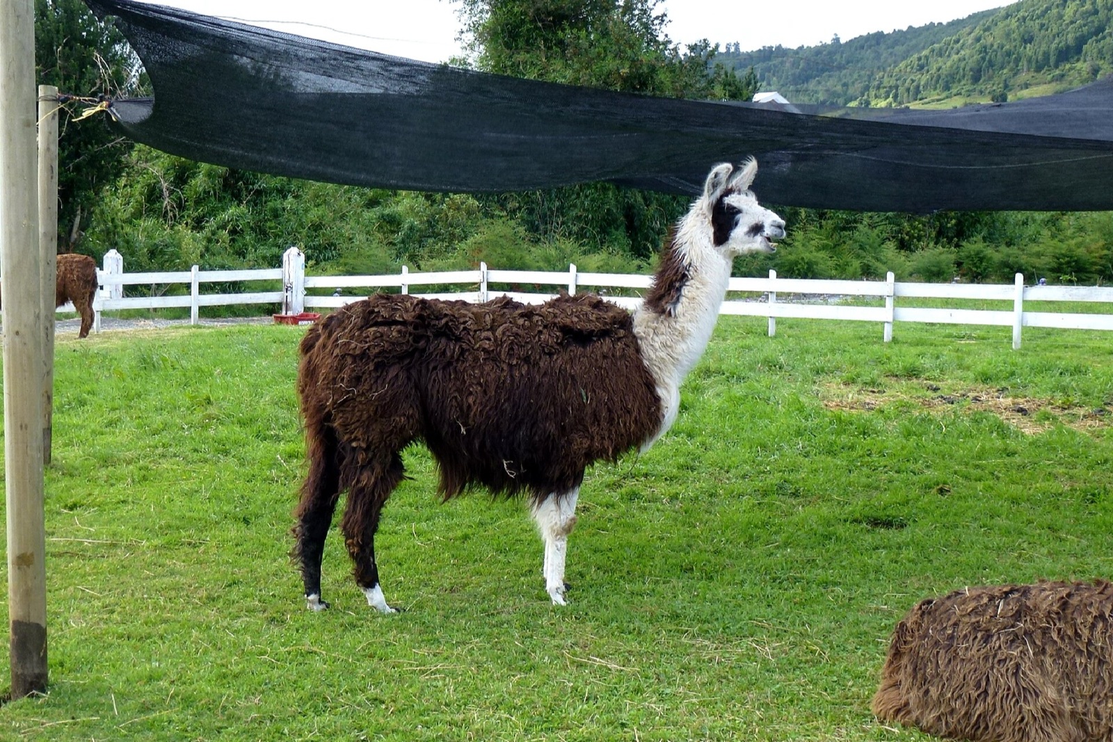 Puerto Varas