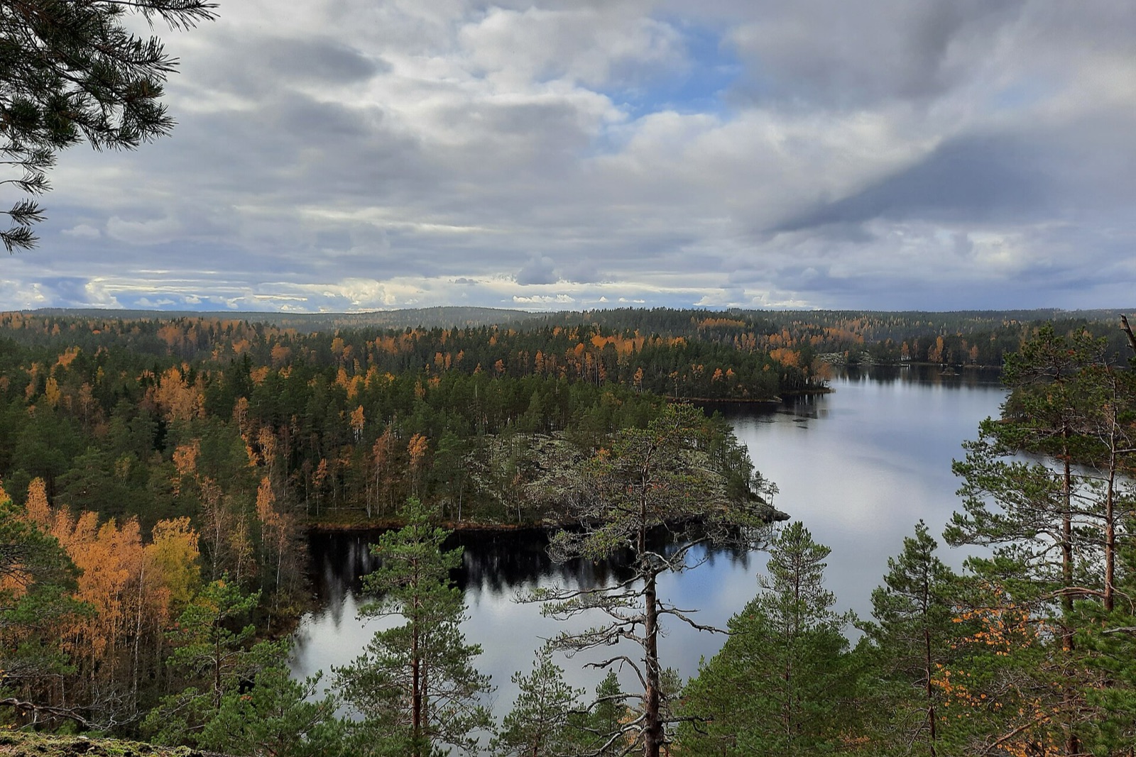 Repovesi National Park