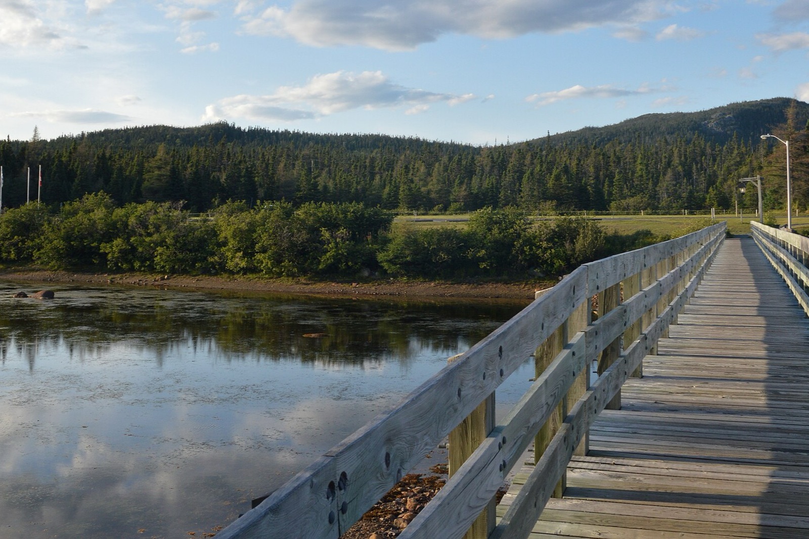 Terra Nova National Park