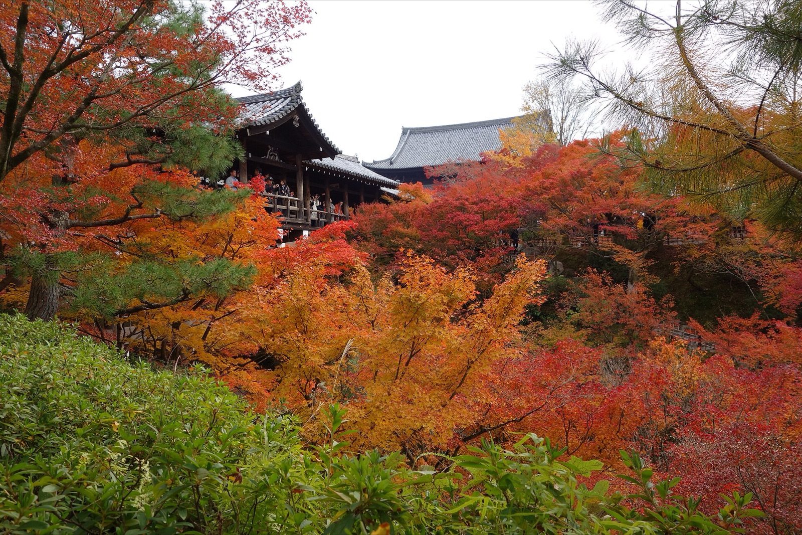 Tofuku-ji