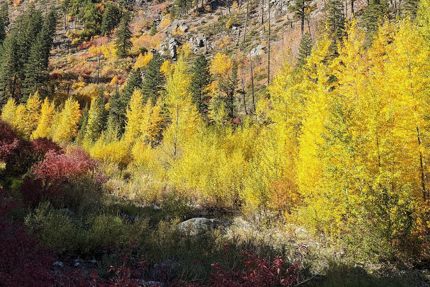 Tumwater Canyon