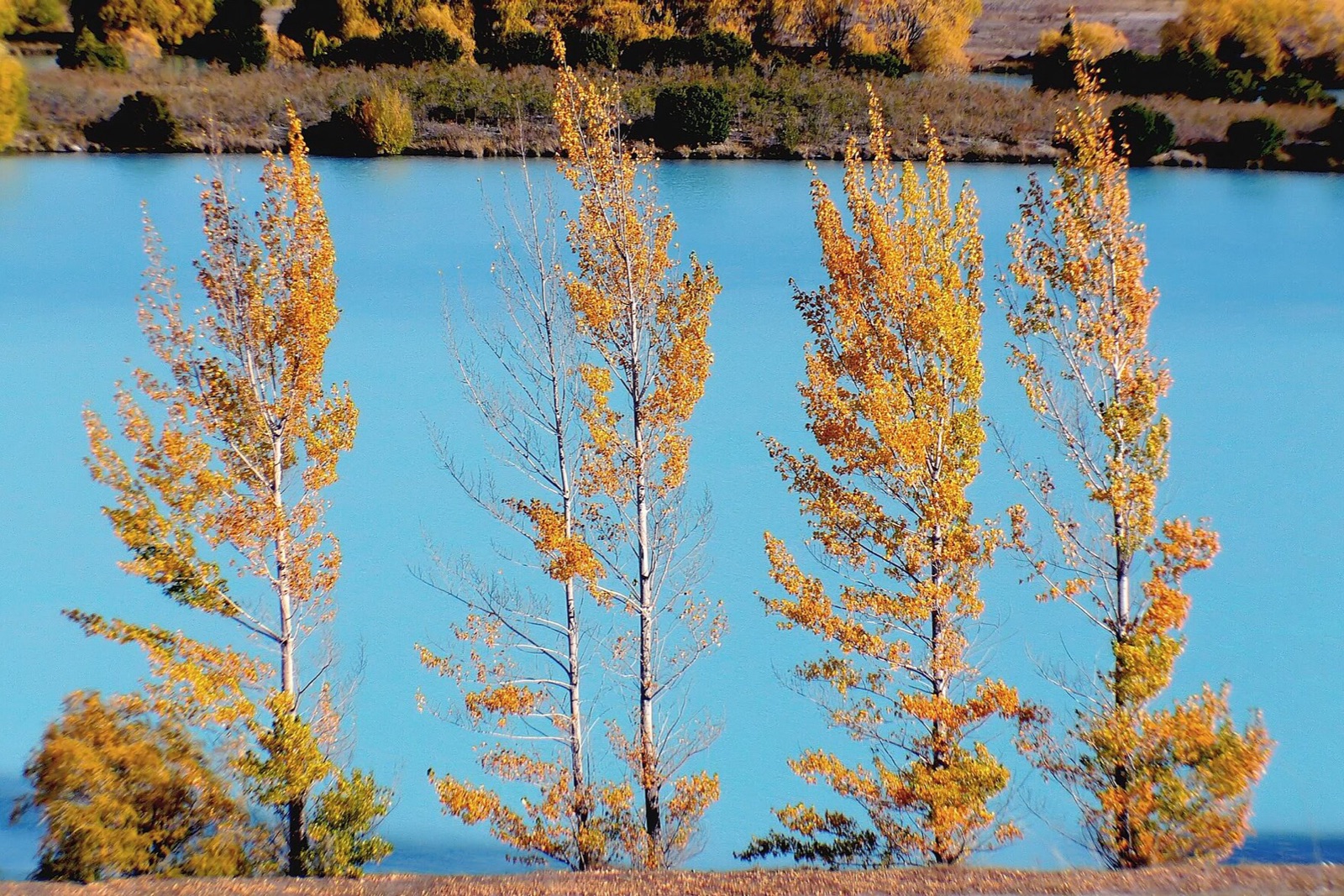 Twizel