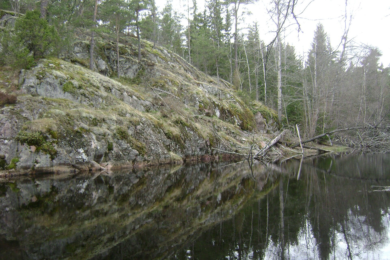 Tyresta National Park