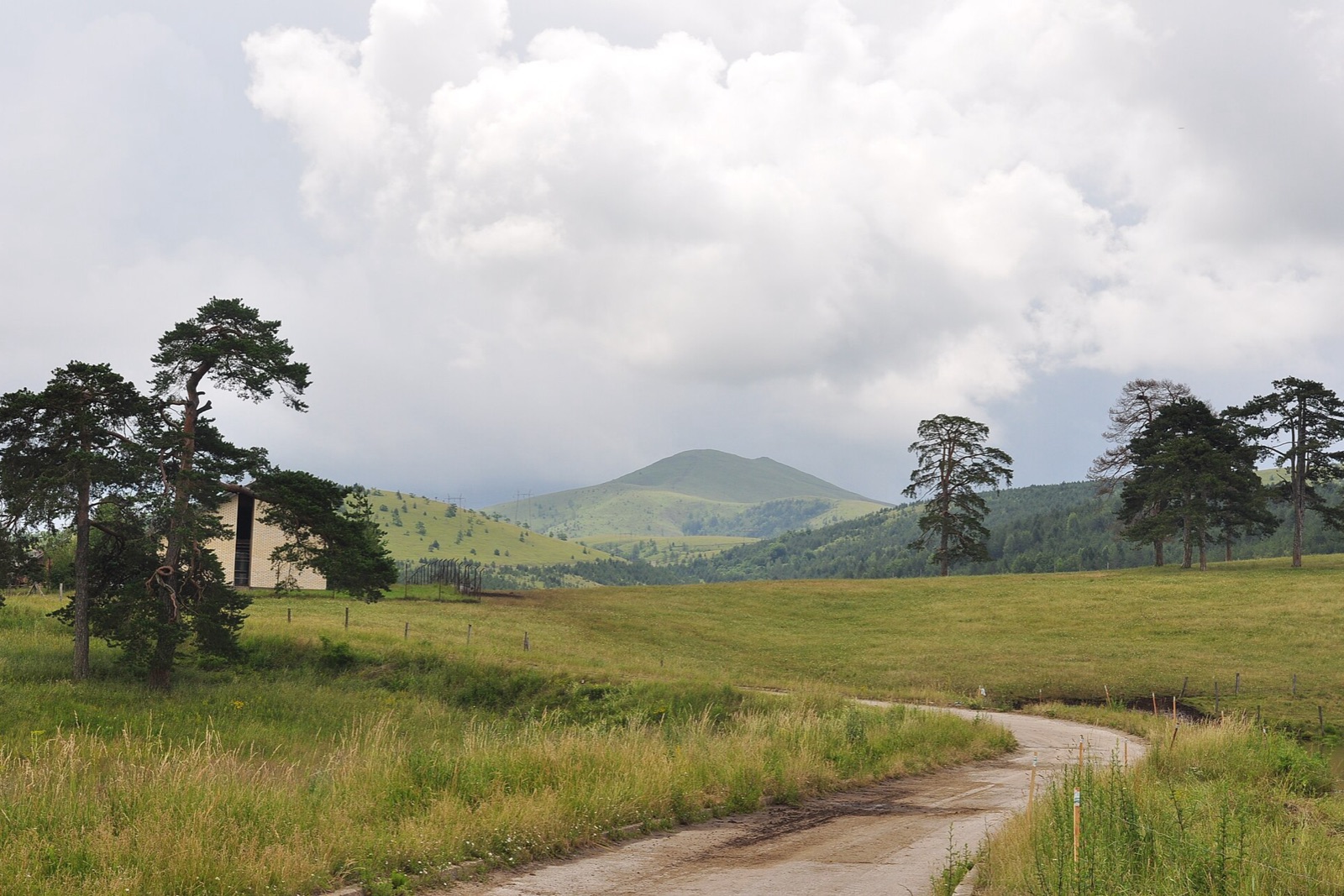 Zlatibor